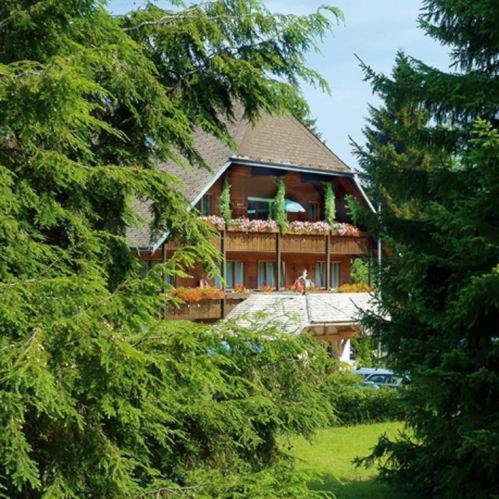 Hotel Garni Seebachstueble Titisee-Neustadt Extérieur photo